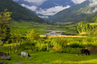  Romantic Shillong, Kaziranga, Nameri and Guwahati